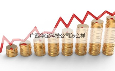 廣西華寶科技公司概況與計算機網(wǎng)絡科技領(lǐng)域發(fā)展前瞻